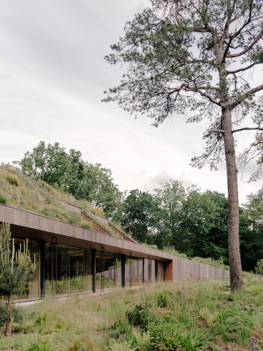 Office by Nature by Studio Massimo