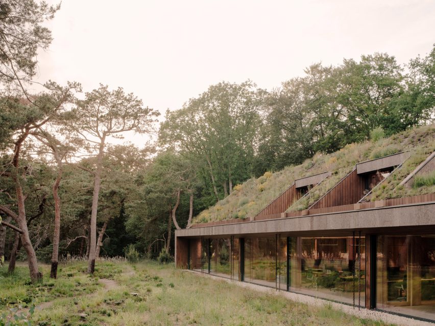 Office by Nature by Studio Massimo