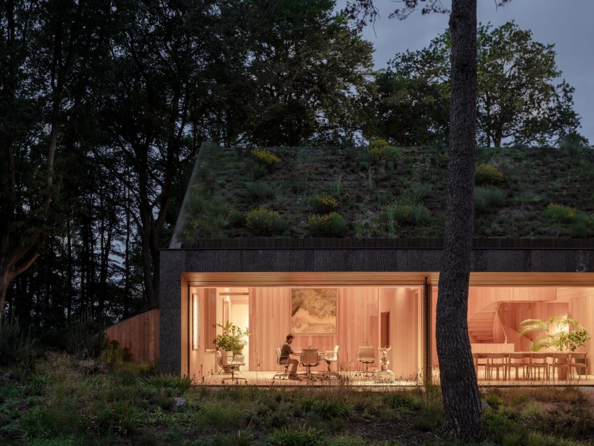 Office by Nature by Studio Massimo