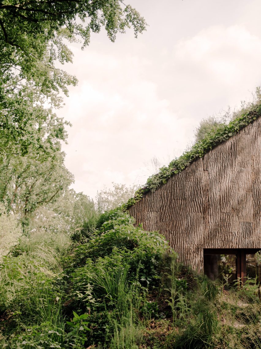 Office by Nature by Studio Massimo