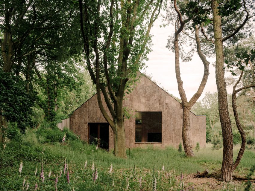 Office by Nature by Studio Massimo