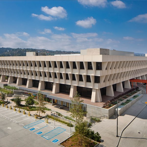 Sunkist brutalist office