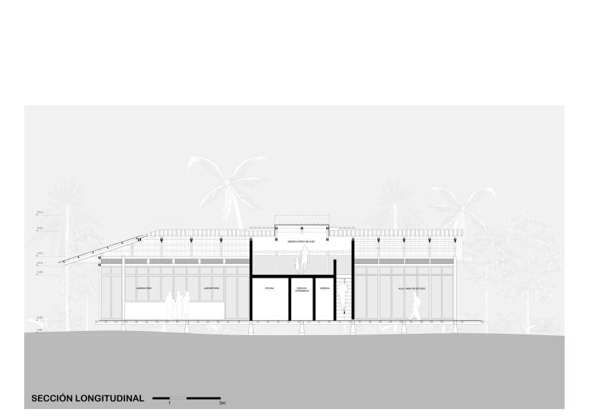 Plans for Amazon rainforest pavilion