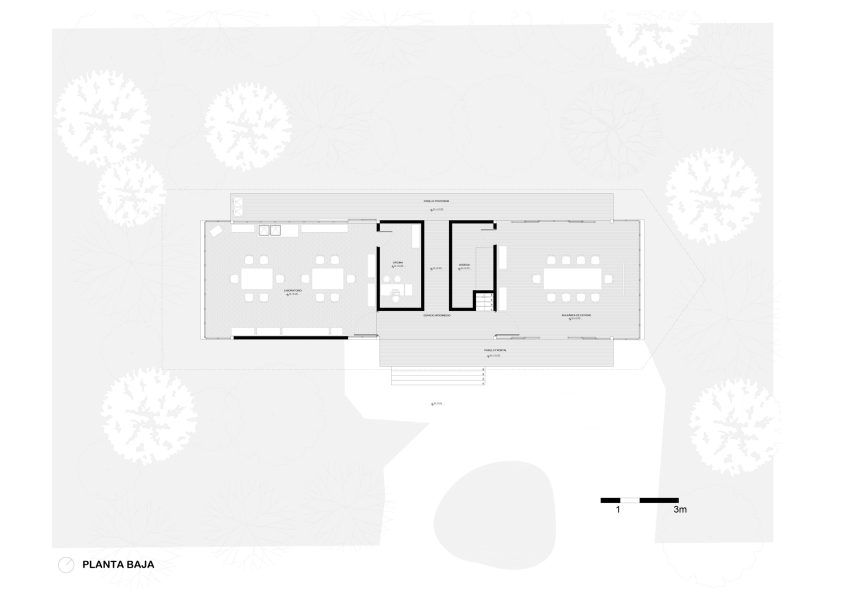 Plans for Amazon rainforest pavilion