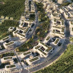 White homes in forest