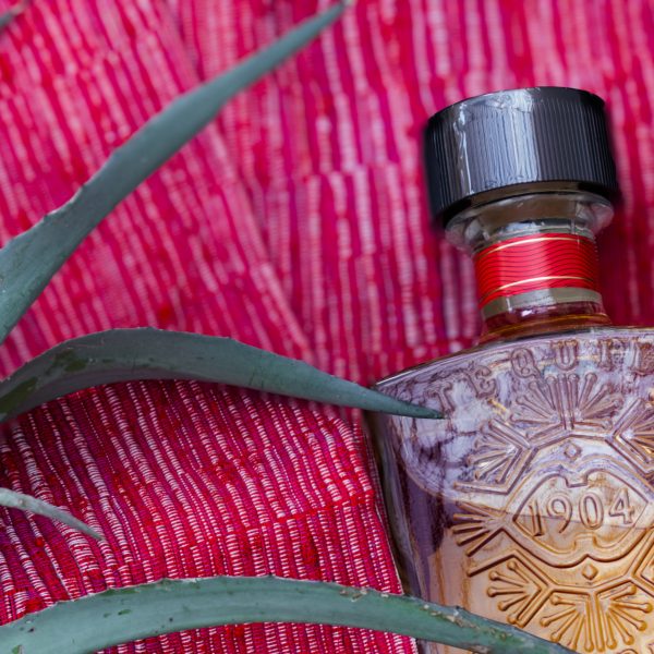 Tequilana Tex (Jalisco, Mexico) by Cuemái