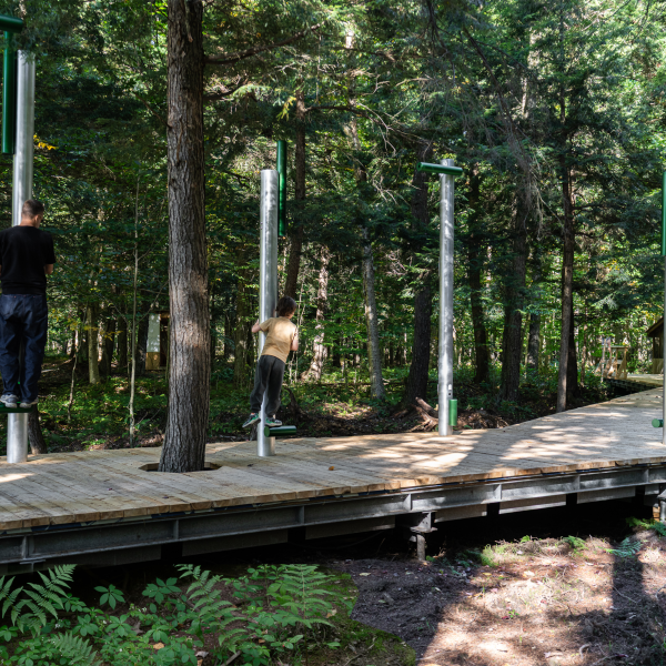 Human Perches by Daily Tous Les Jours