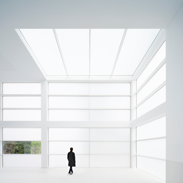 Library of the French Lycée by Estudio Arquitectura Campo Baeza