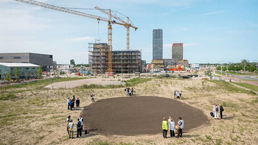 Photo of park in Amsterdam