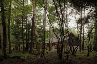 House in forest