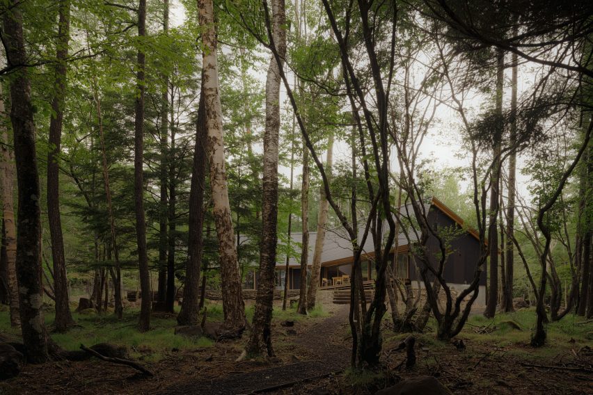 House in forest