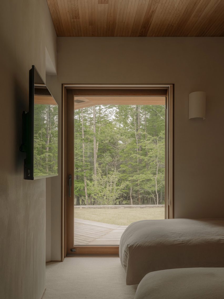 Window to forest