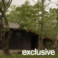 Wooden Japanese house