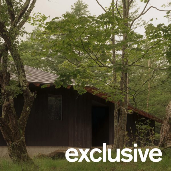 Wooden Japanese house