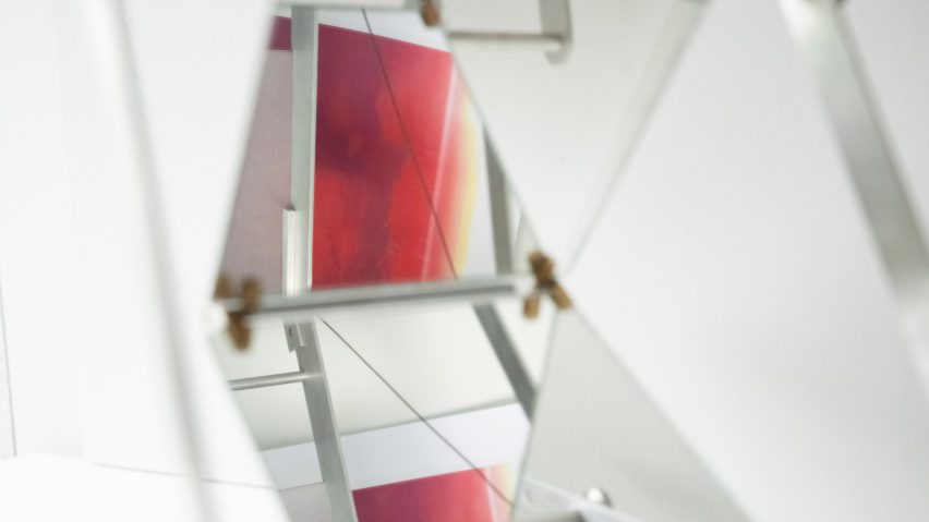 Photo of red art reflected in a mirror
