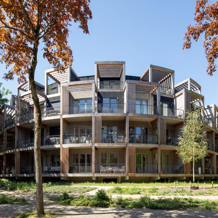 Root (Eindhoven, Netherlands)