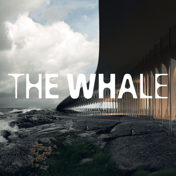 The Whale by Schnitler&Co