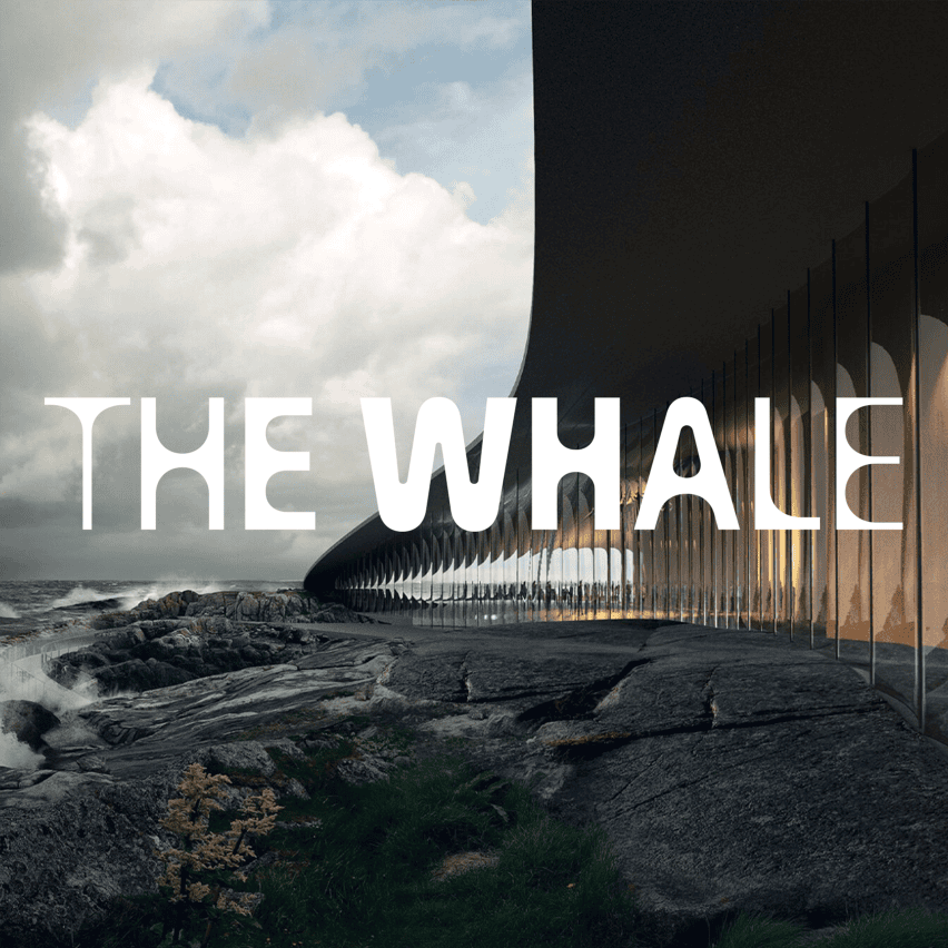 The Whale