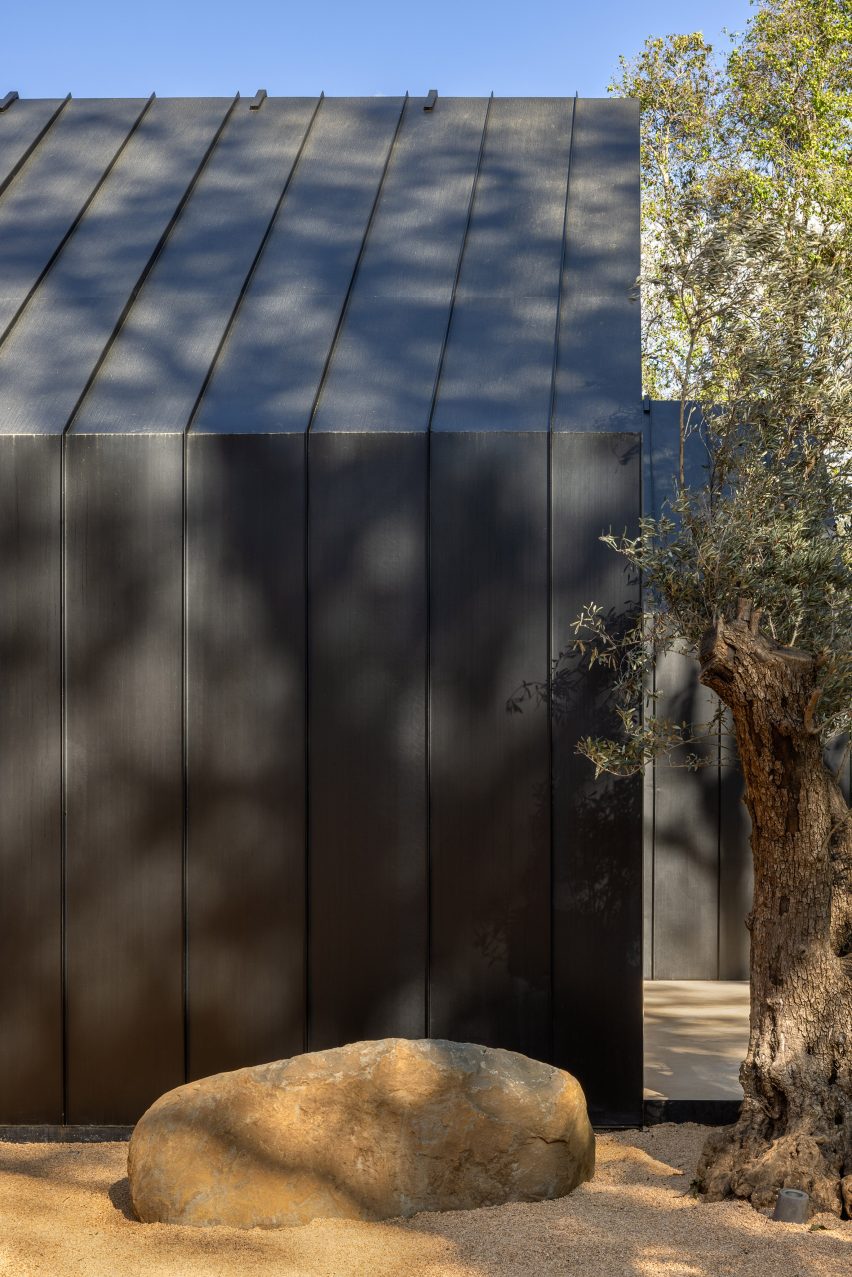Mexico City house