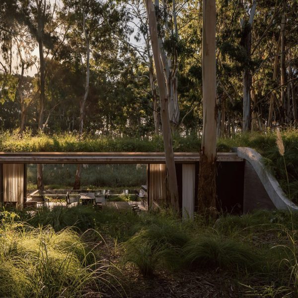 House with a green roof