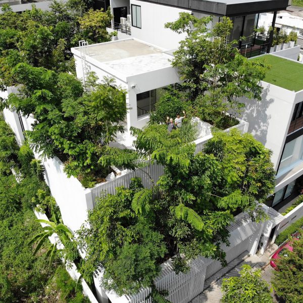 House with trees on the roof