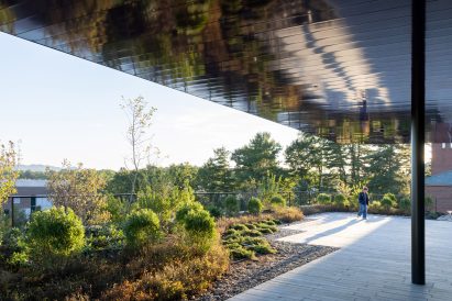 Herzog & de Meuron Mass Timber Amherst Extension