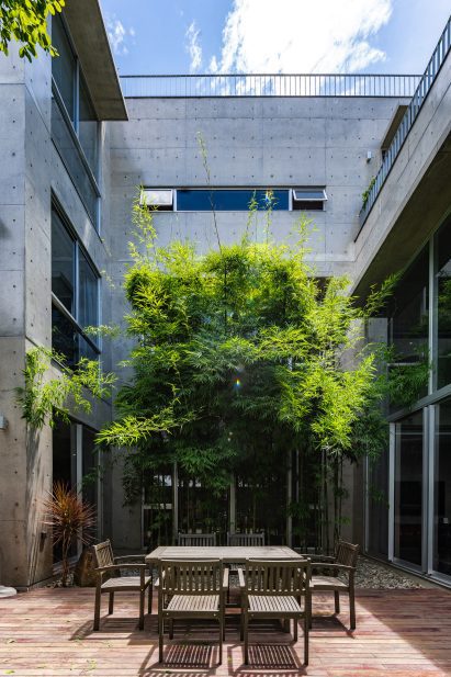Courtyard view of House K in Vietnam