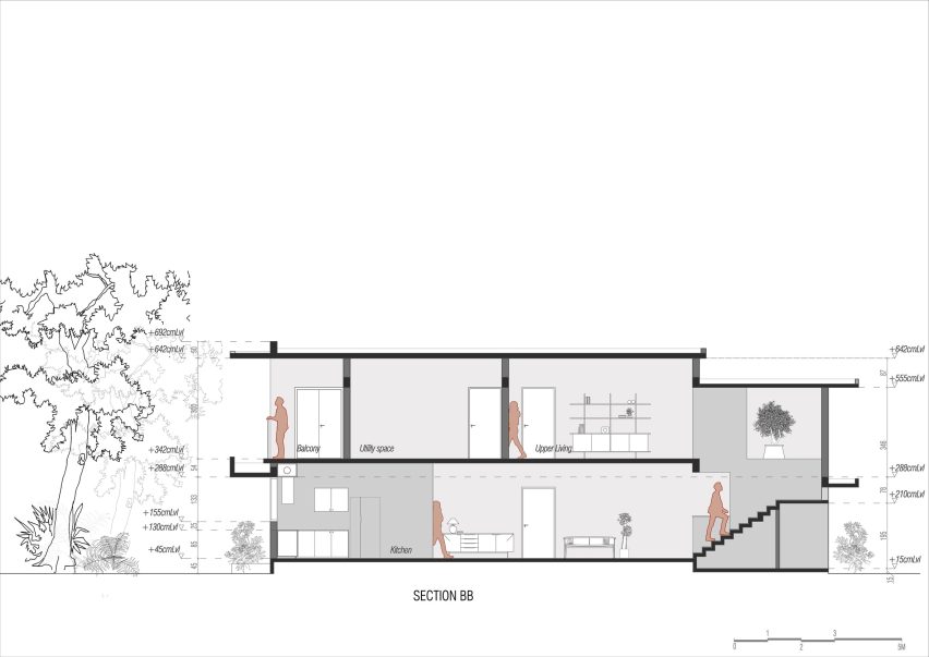 Section of House Beyond the Mango Trees by InLe Architects