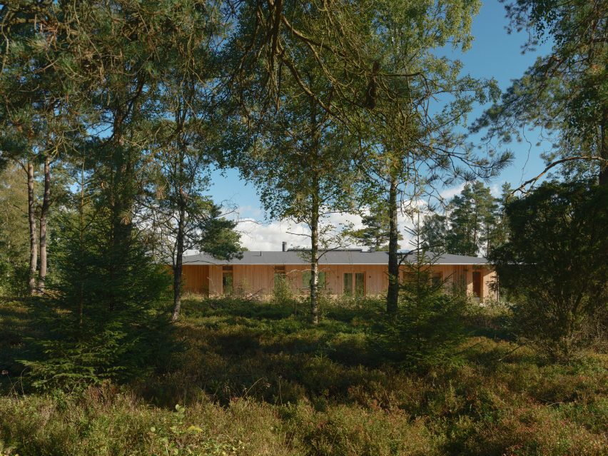 Pine House by Johan Sundberg Arkitektur