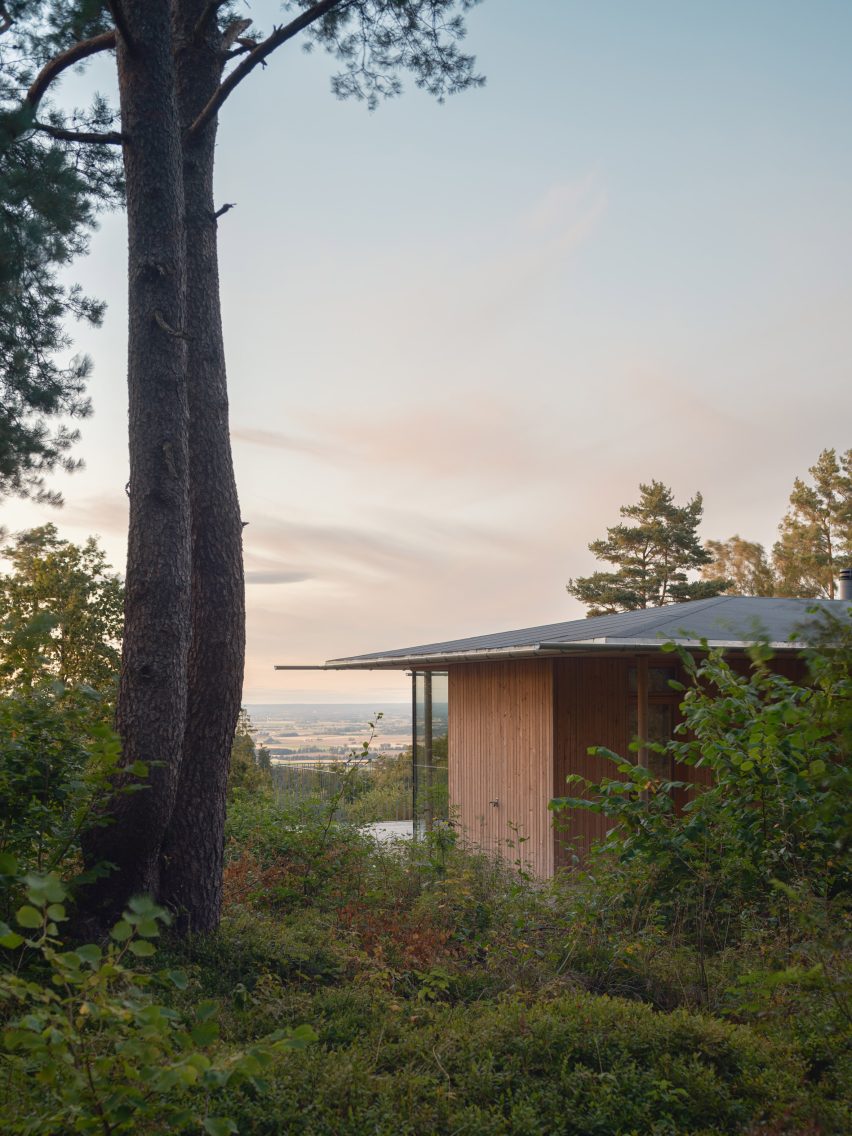 Pine House by Johan Sundberg Arkitektur