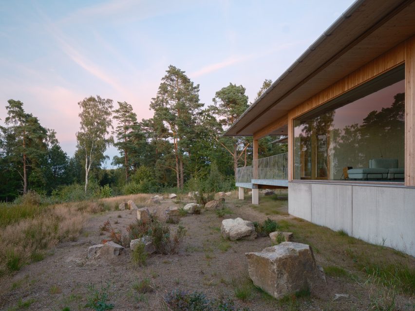 Pine House by Johan Sundberg Arkitektur