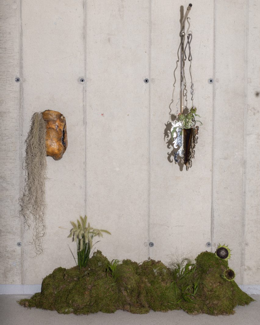 Slancha's Hanging Baskets