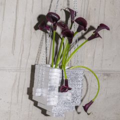 Romain Basile Petrot for Slancha's Hanging Baskets
