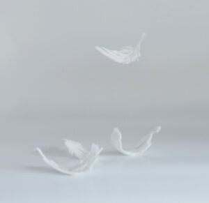 Photo of paper feathers