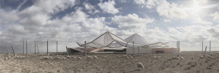 Subsidence – The Sunken Herd by Eda Samgul