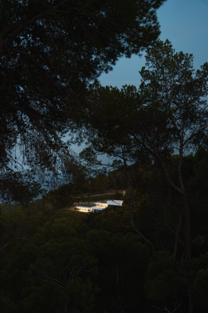 Bellavista 11 by Fran Silvestre Arquitectos