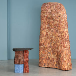 Armadillo furniture