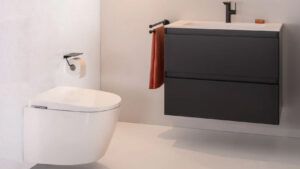Roca toilet