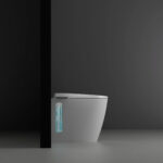 Roca toilet