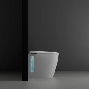Roca toilet
