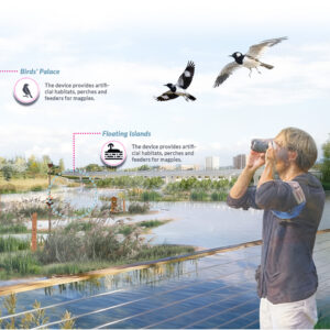 Render of waterfront to encourage magpie habitats