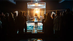 Installation at Dutch Design Week