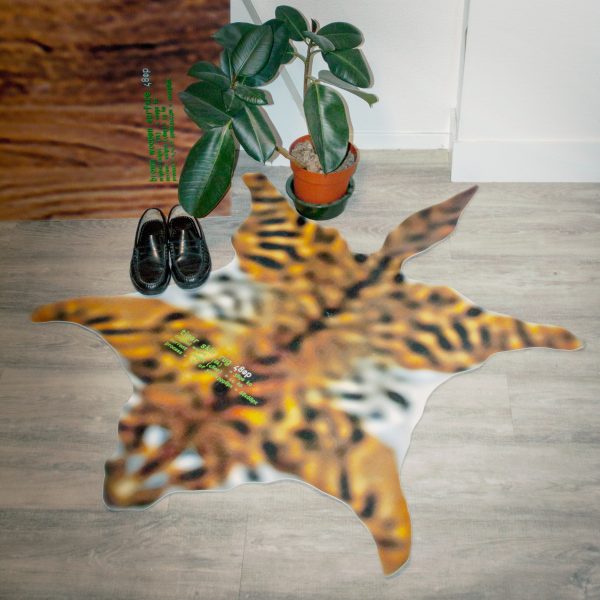 Blurry tiger-skin style rug on wooden floor with plant