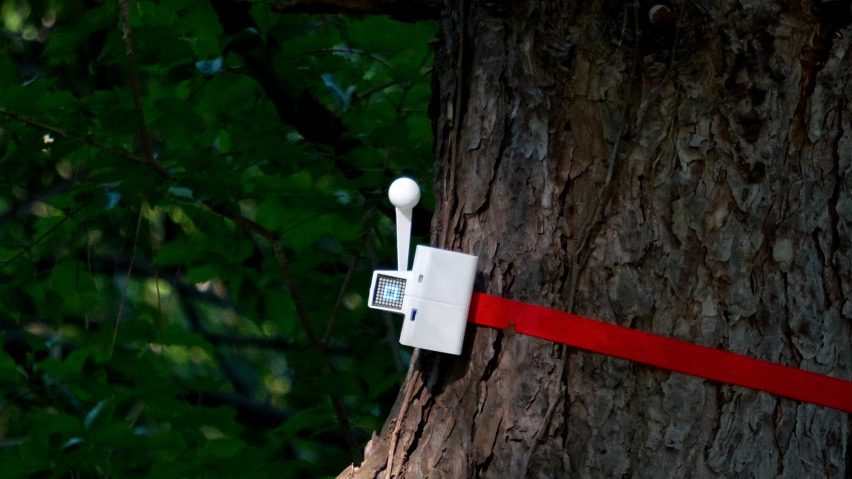Knock on Wood