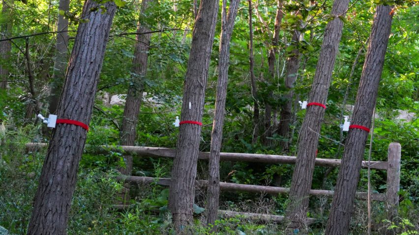 Knock on Wood
