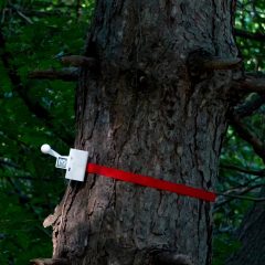 Knock on Wood