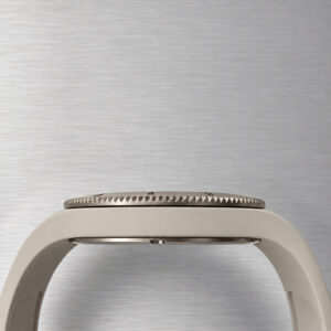 Lebond Norman Foster watch