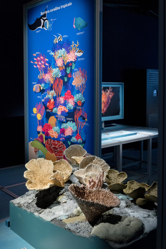 Coral reef by Formafantasma