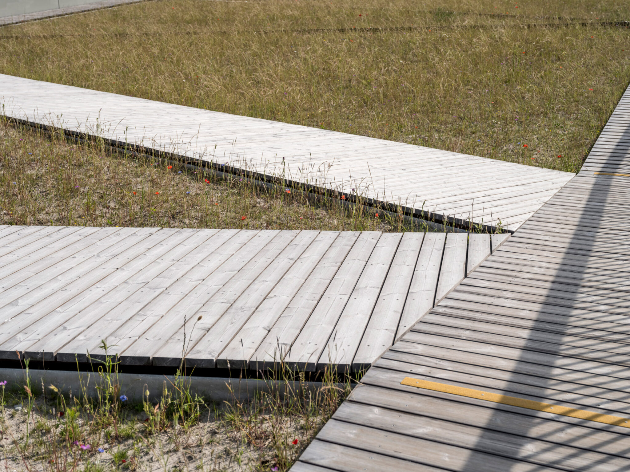 Arup creates Pilen viewpoint for Fehmarnbelt Tunnel project