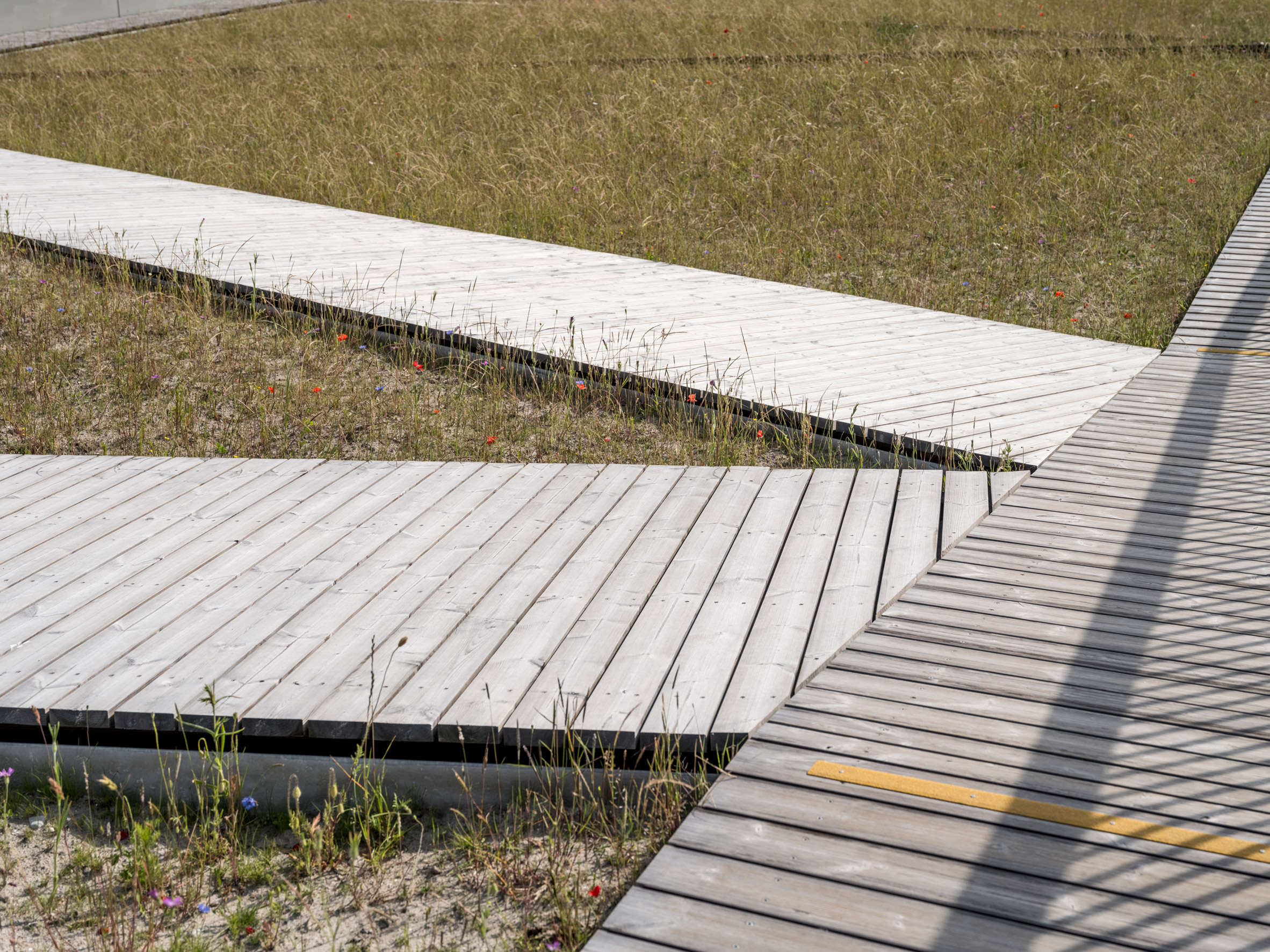 Pilen viewpoint by Arup